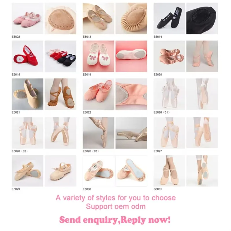 E5026-01 High Quality Leather Flat Shoes Professional Women's Dance Ballet Foot Shoes