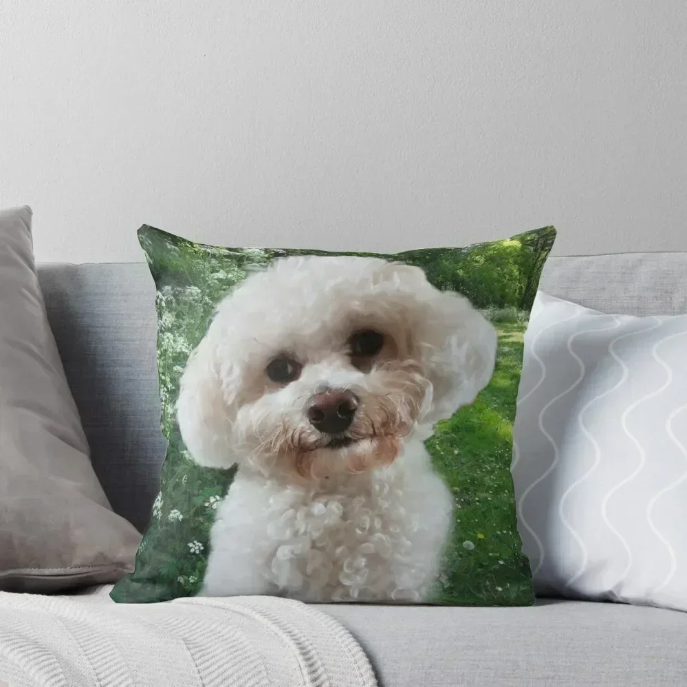 

Cavachon Throw Pillow Christmas Pillow Covers Cushion Child Cushion Covers For Living Room Cushions For Children pillow