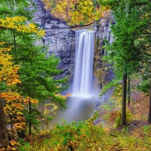 

Black Under Engine Guard Plate Splash Shield Mud Fender Cover For Toyota IZOA C-HR CHR 2016-2023 2.0L Mudguard Protector