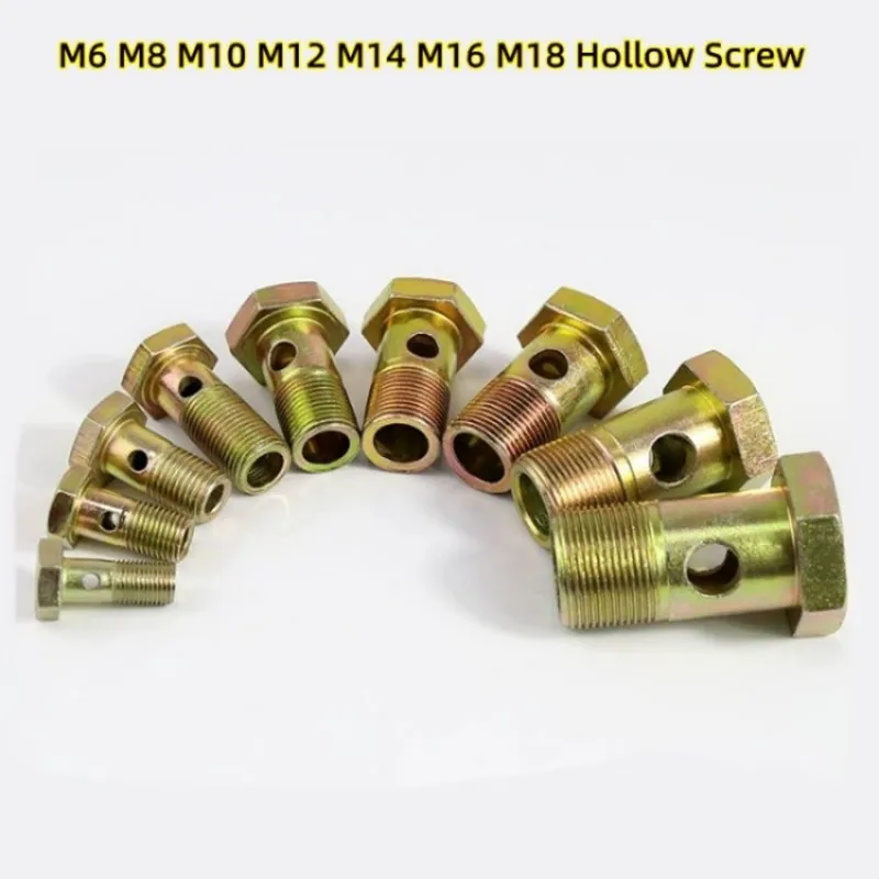 

10PCS M6 M8 M10 M12 M14 M16 M18 Hexagonal Hollow Screw 2-hole Diesel Engine Parts Recovery Pipe Hinge Hydraulic Bolt