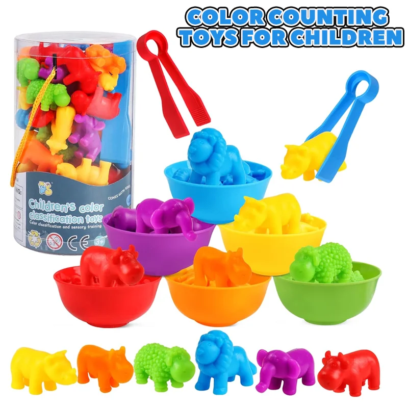 New Rainbow Counting Animal Traffic Car Early Education Toy Animal Cognition Montessori Math Teaching Assisted Kindergarten Game