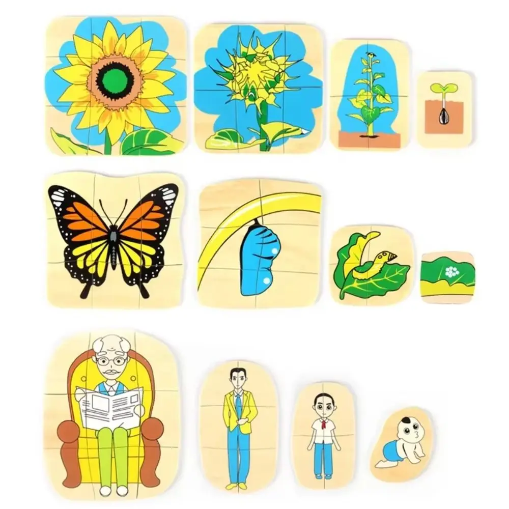 

Matching Toys Life Cycle 3D Puzzle Toy Montessori Animal Plant Life Multi-Layer Jigsaw Cognitive DIY Growth Puzzles Wooden Toys
