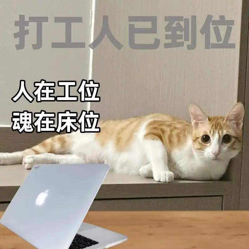 

2 X For BMW 3 Series G20 G21 F30 F31 F34 Car Headlight Tint Black Protective Film Protection Transparent TPU Sticker Accessories