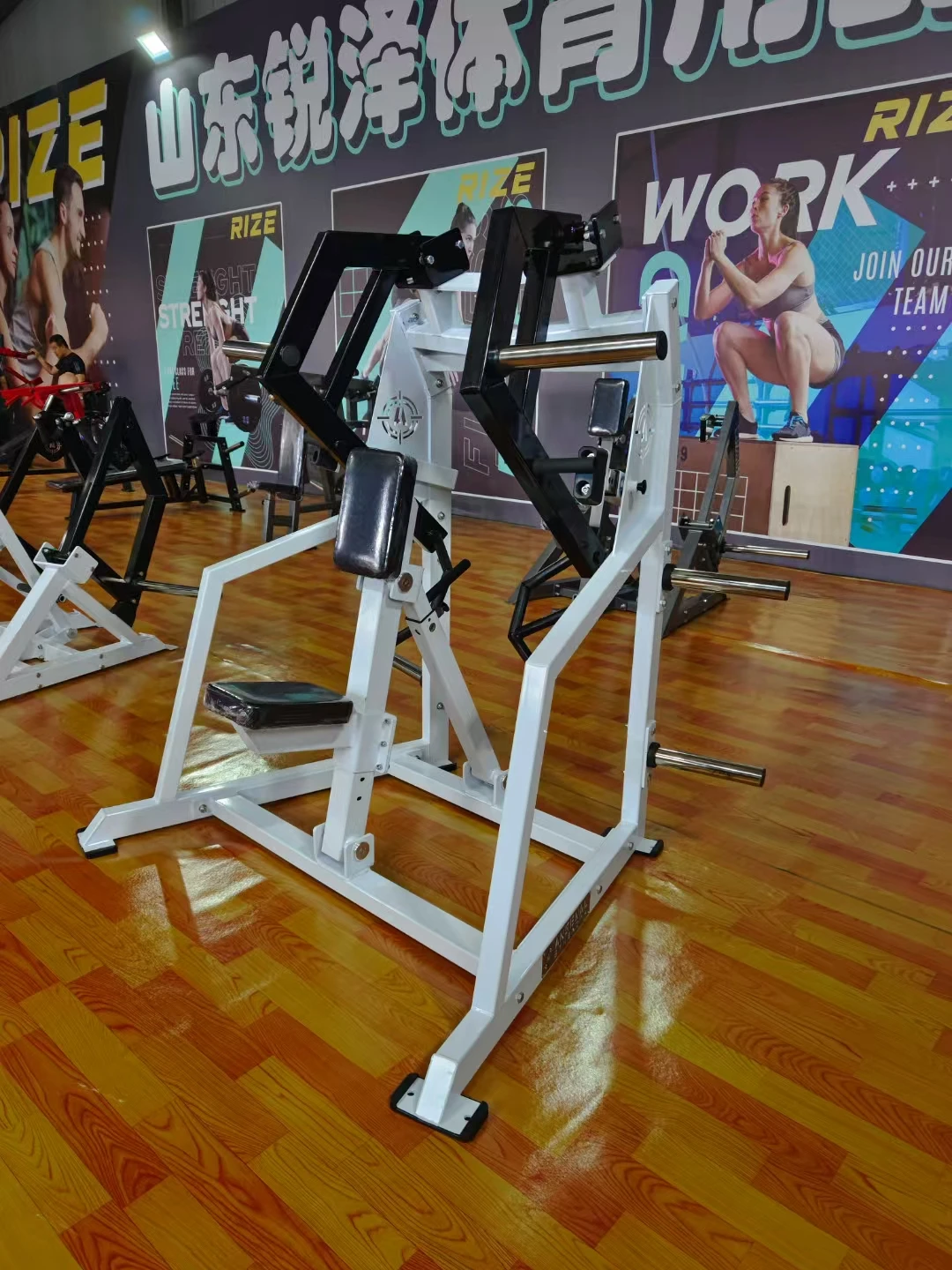 آلة الصف الجلوس المحملة باللوحة بالجملة معدات التدريب الخلفي ثنائي الحركة 2025 #6