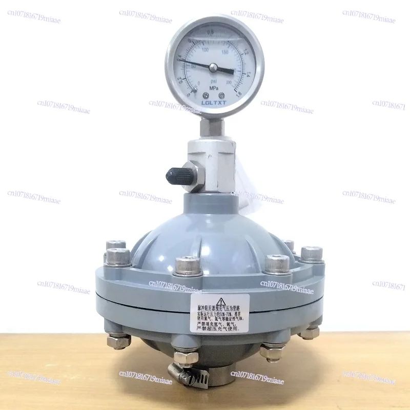 

Pulse Damper, Liquid Pure Water Metering Pump Dosing Flow Buffer, with Pressure Gauge