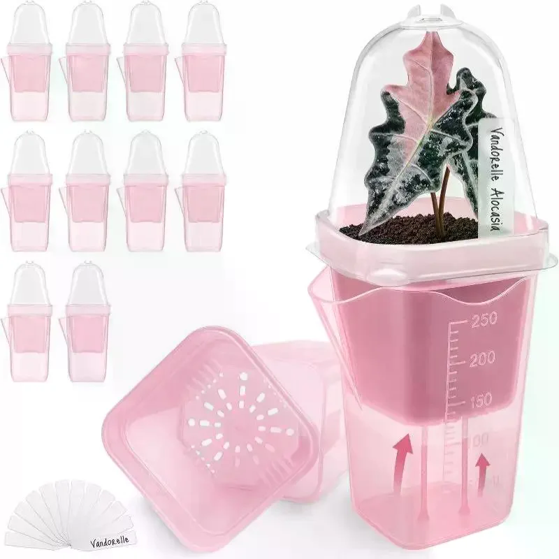 Desktop Transparent Pink Self Watering Planters with Drainage Holes for Garden Seedlings Nursery Small Herb Growing