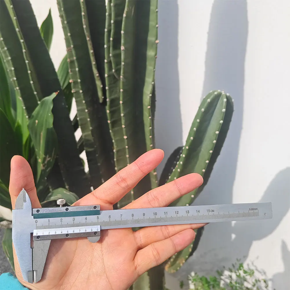 150mm Professional Industrial Vernier Caliper Carbon Steel Precision Measurement Four Use Precision Metric Gauge Measuring Tool