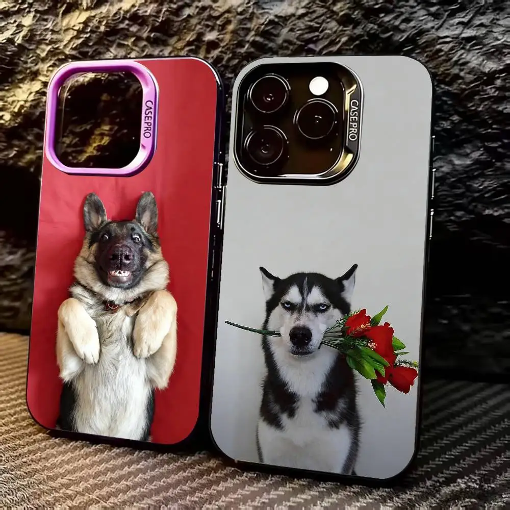 

F-Funny D-Dog Phone Case For iPhone 17,16,15,14,13,12,11 Plus,Pro Max,XS,Colored Silver Plated Inside Cover