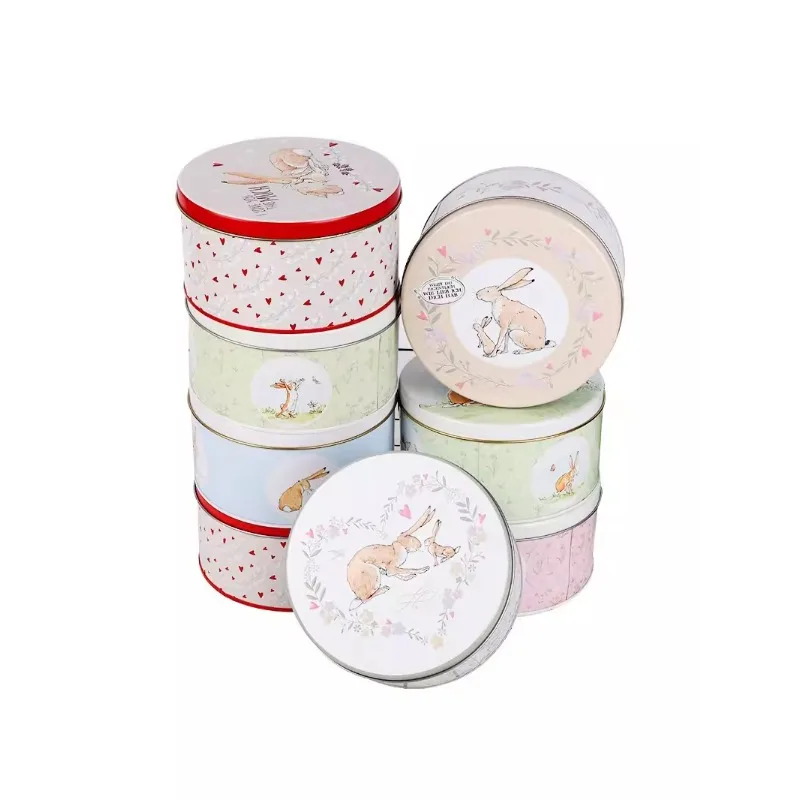 Fashion Cartoon Baking Floral Cookie Cakes DIY Cute Tin Storage for Children Gifts Dessert Home Decoration Candy Cookie Gift Box