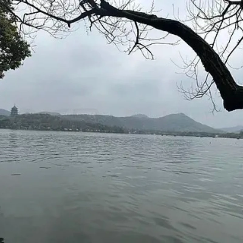 

GEPRC TAKER F722 BT 8Bit 65A 60A 50A Stack 4IN1 ESC 512M Black Box 32Bit Data Analyze Record Flight Barometer Racing FPV Drone