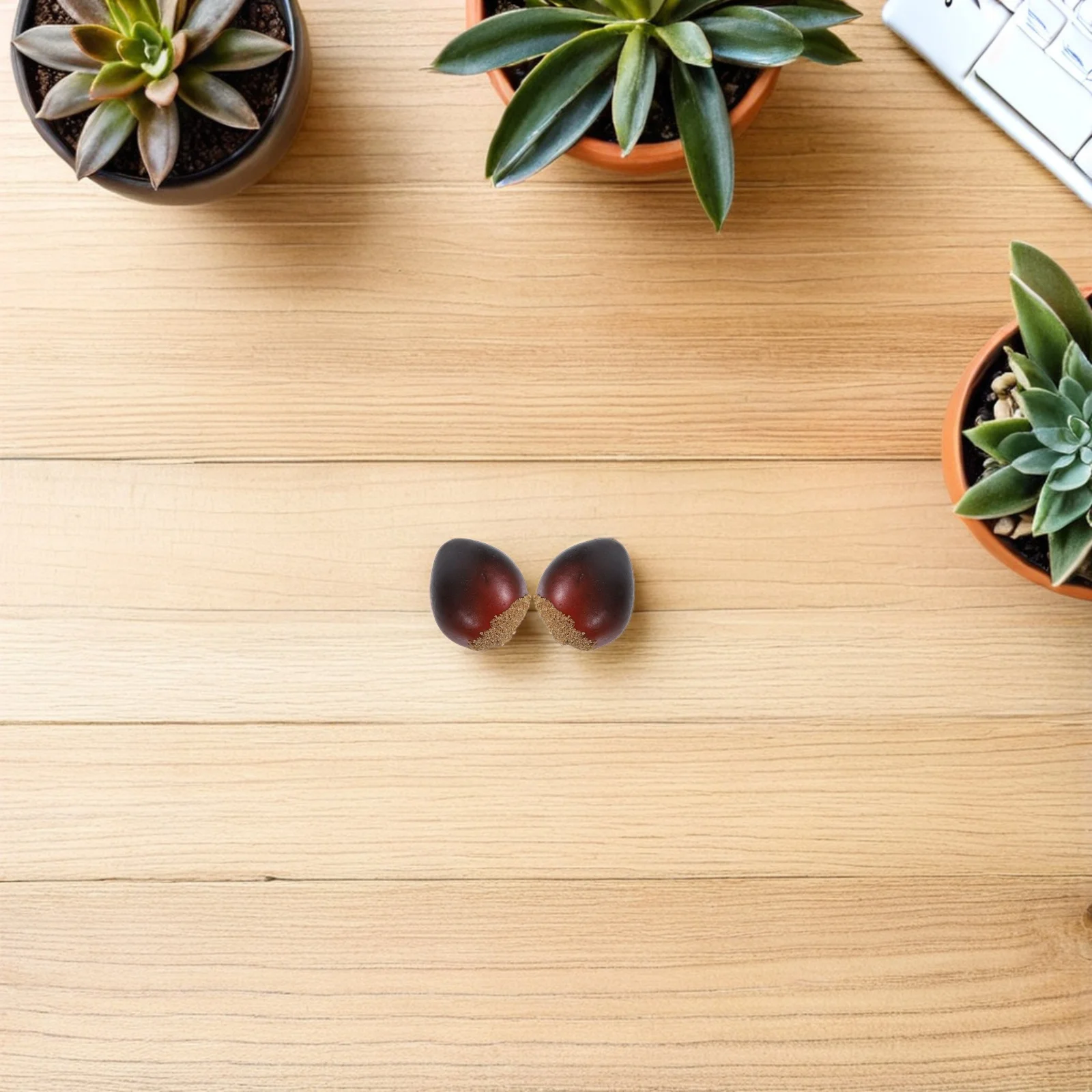 

40Pcs Artificial Chestnuts Faux Nut Simulation Realistic Food Props Decorative Nut Ornament for Festival Home Craft Faux Nuts