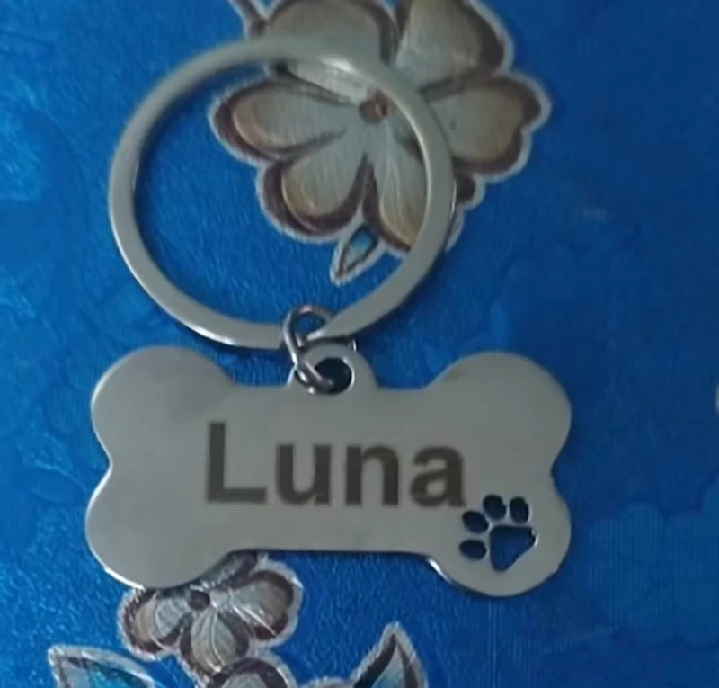Personalisiertes Hunde- und Katzen-ID-Etikett aus Rostfreiem Stahl, Anti-Verlust Haustier-Halskette mit Kostenloser Gravur, Knochenförmiger Anhänger Schlüsselring, Haustierzubehör – Detail 2