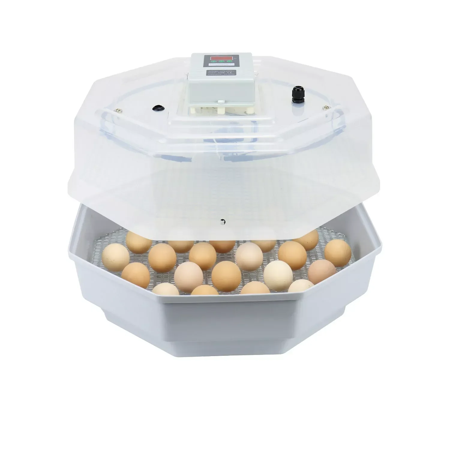 

Capacity 60 chicken eggs or 80 quail eggs incubators for sale/Professional mini incubator used/Poultry incubator for sale