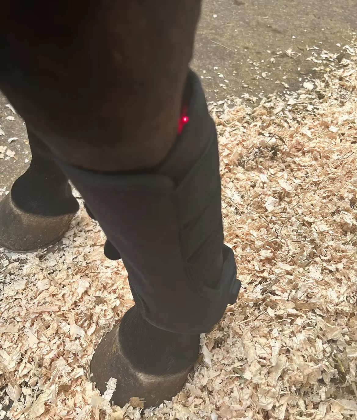 Painless and Safe Non-invasive Equine Animal Pet Care Home Use Led Lights Red Light Therapy Belt for Horse Leg Boots