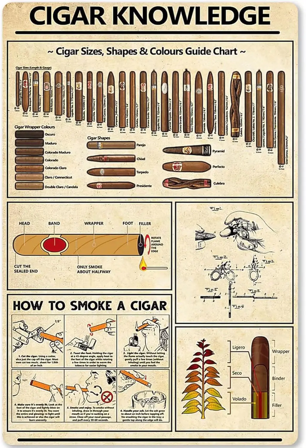 Cigar Knowledge Metal Tin Sign Cigar Size Shape Color Guide Diagram Metal Poster Plaque Used for Coffee Shop Bar Club Home Kitch