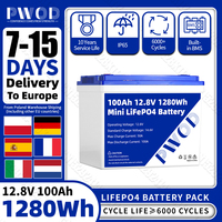 PWOD LiFePO4 Battery Pack 12V 100AH With BMS Brand New Lithium Iron Phosphate Battery for Boat/Car/Home Energy Storage System