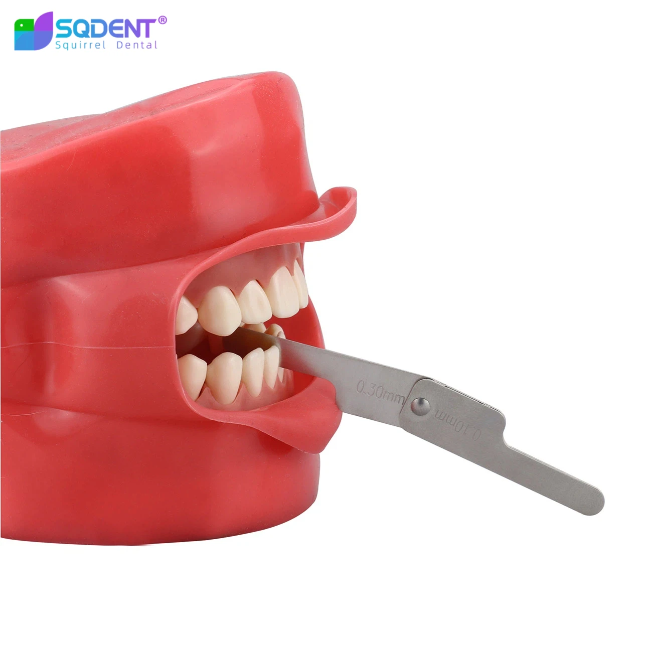 SQDENT Interproximal Reduction Gauge Ruler Tooth Gap Measure Reciprocating IPR System Stainless Steel Material Dentistry