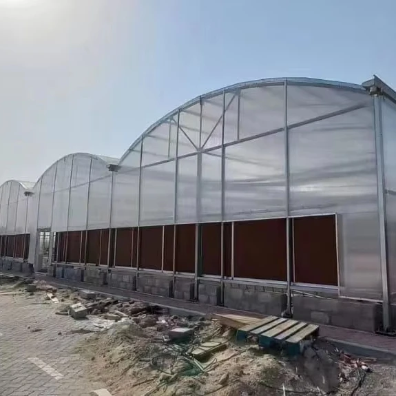 

Customized greenhouseCommercial Multi-span Polycarbonate Greenhouse with Hydroponic System for Tomato Cucumber Pepper Capsicum