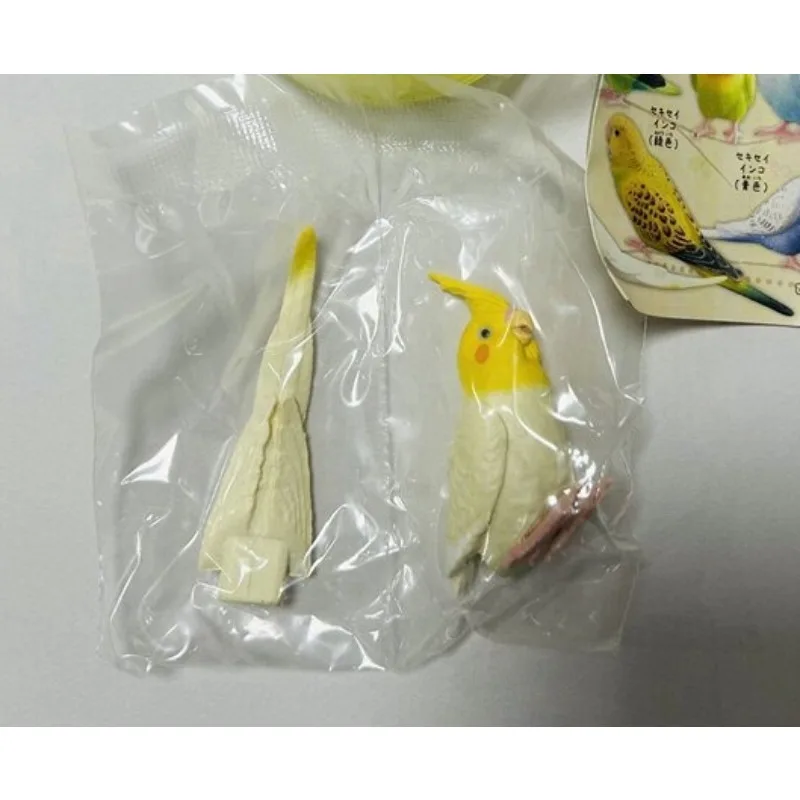 SHINE-G Japan Gashapon Figure Cute Kawaii Parakeet Parrot Figurine Anime Gachapon Capsule Toys Creativity Gift Desktop Decor