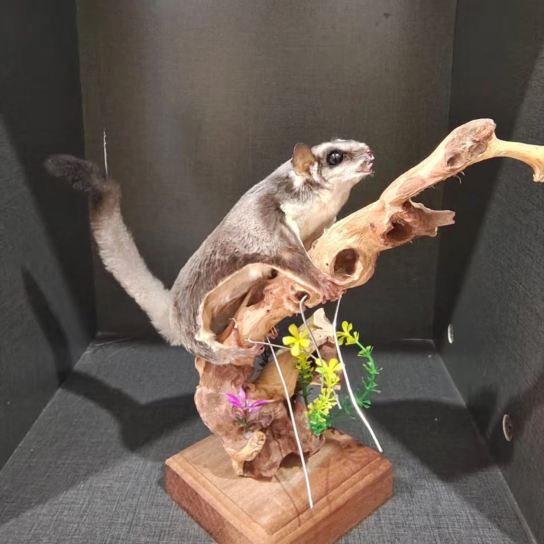 2075 Boutique  Handmade Artificial Sugar Glider Model on Simulated Wood Base Resin Taxidermy Style Figurine Unique Collectible