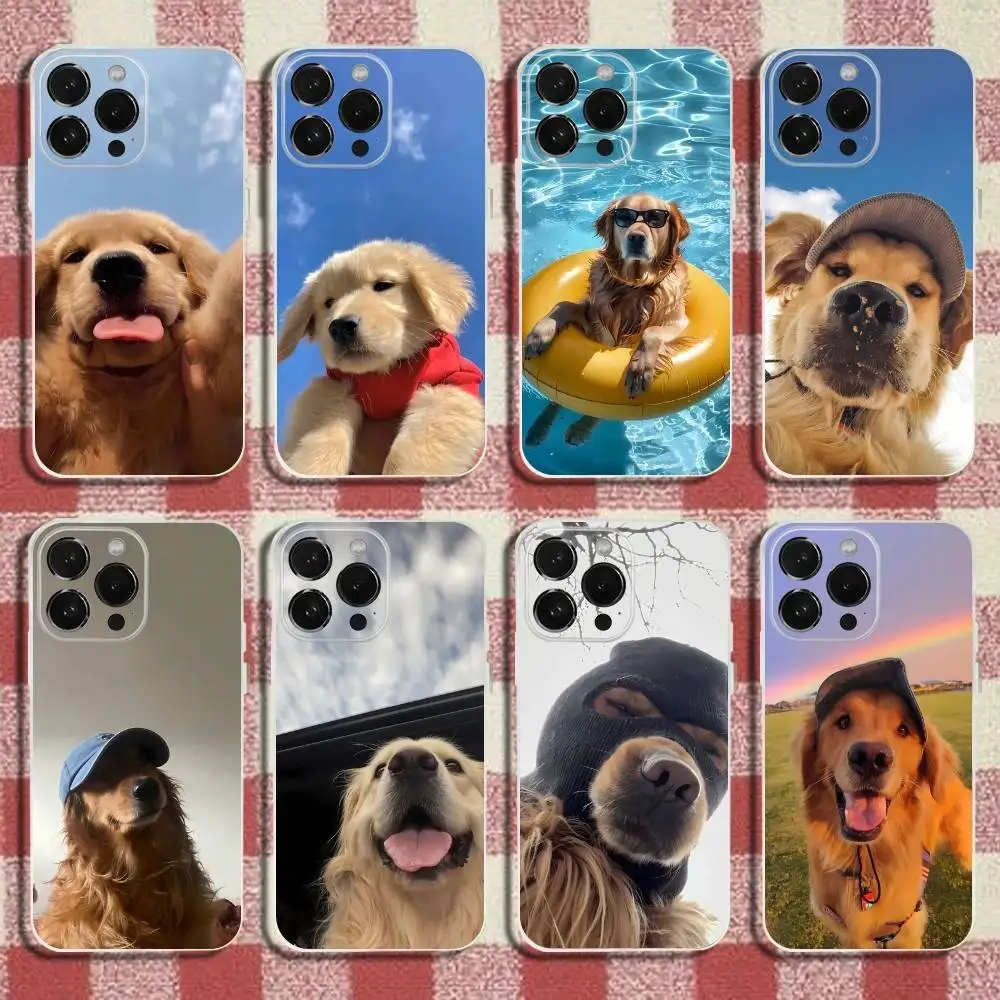 

Funny Cute Golden Retriever Dog Phone Case For iPhone 17,16,15,14,13,12,11Pro,Max,Plus,X,XS,XR,SE,Mini Transparent Silicone Soft
