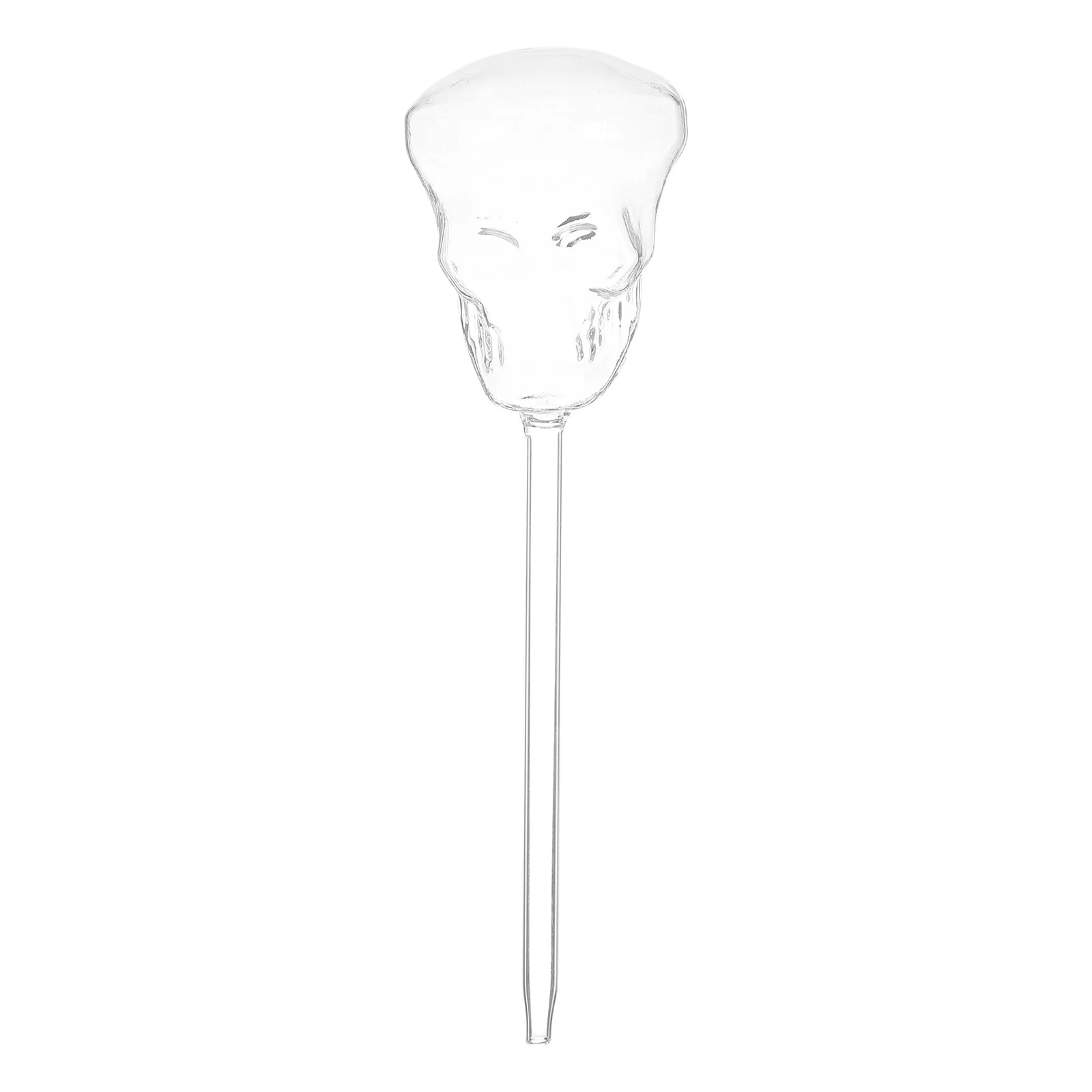 

Glass Automatic Watering Spike Self Drip Irrigation Tool for Houseplants Skull Design Decorative Planter