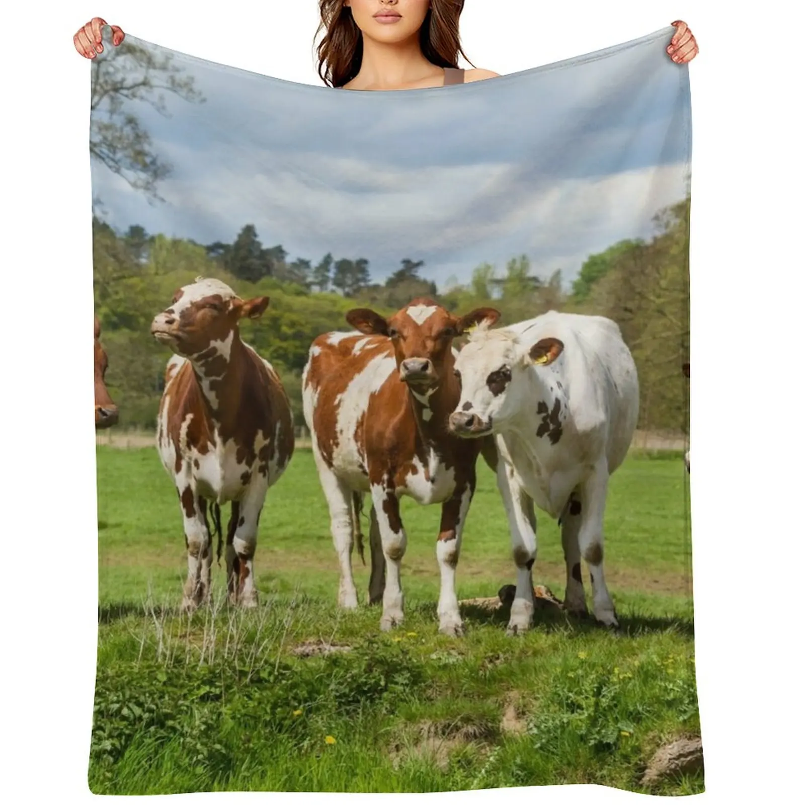 

Ayrshire Cows Throw Blanket Moving Sofa Throw Hairy Blankets