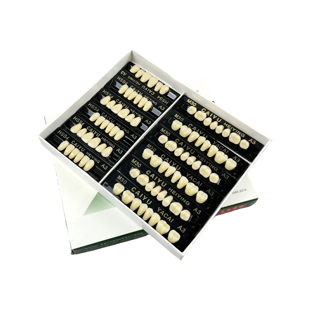 84pcs/box Dental Synthetic Numerical Teeth A2/A3 Dentures Acrylic Resin Dental Model Dental Material Education Model
