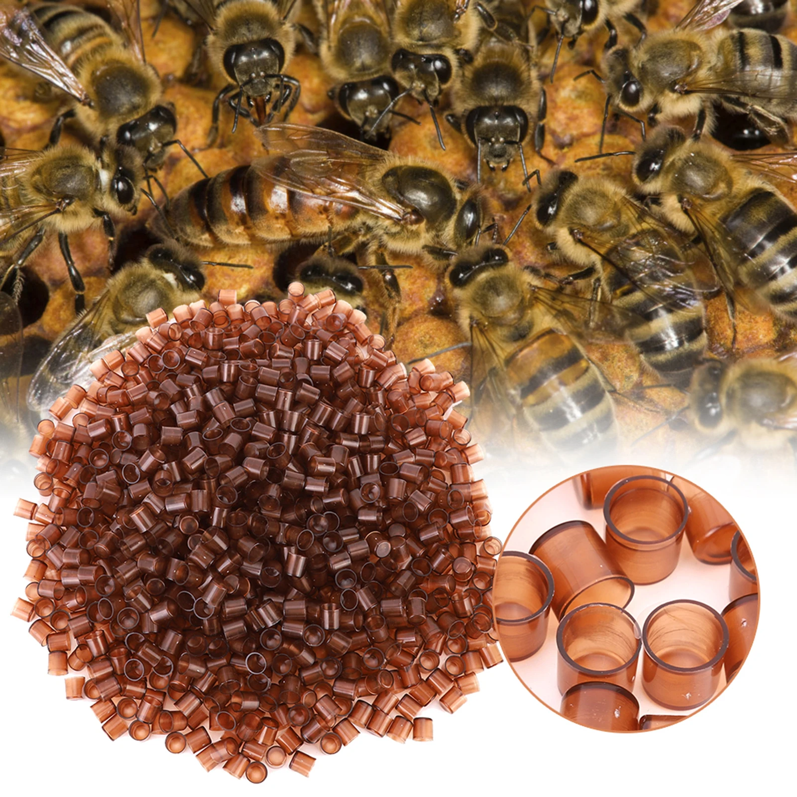 1000PCS Beekeeping Queen Cell Brown Plastic Bee Feeding Tools Applicable to Beekeepers