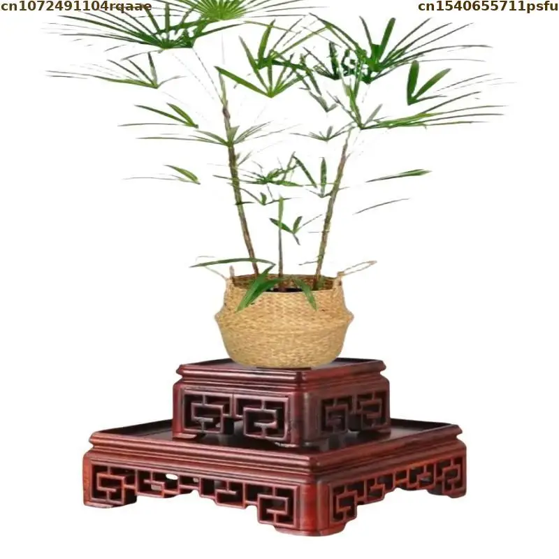 Red Ebony Bonsai Plant Scaffold Wooden Standing Flower Base Vase Flowerpot Sorting Table Flowerpot Holder Candy Table Furniture