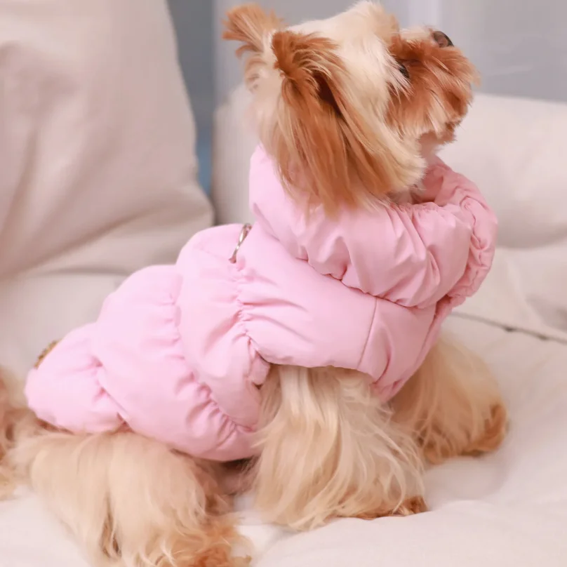 

Dog Jacket For Autumn/Winter Pet Coat 3-Layer Thick Warmming Outerwear Suitable For Small To Medium Dogs Like Poodle Teddy York