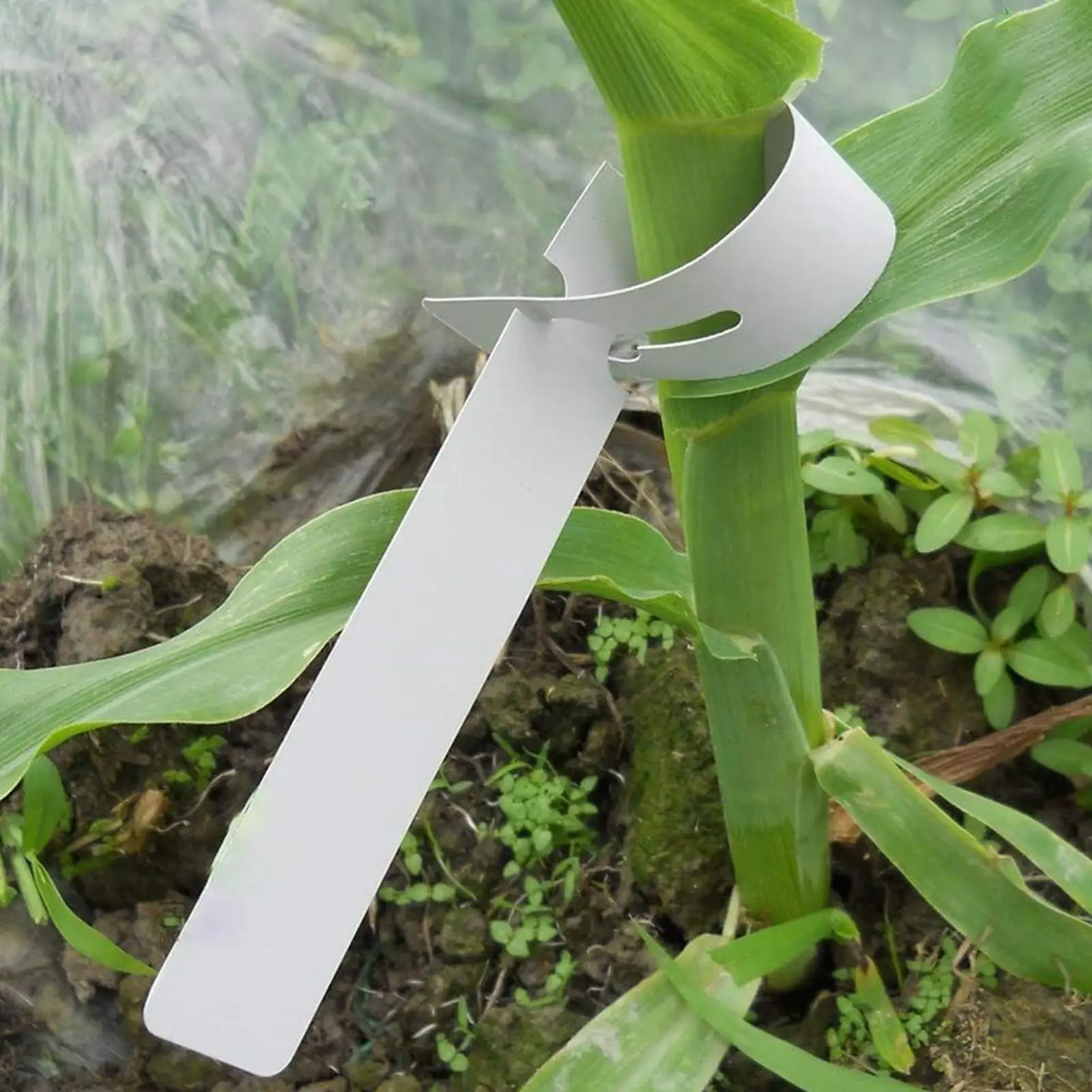 Plant Labels 100Pcs Waterproof Plant Markers Plastic Plant Hanging Tags Gardening Plant Marker Label Tools  Planters Supply