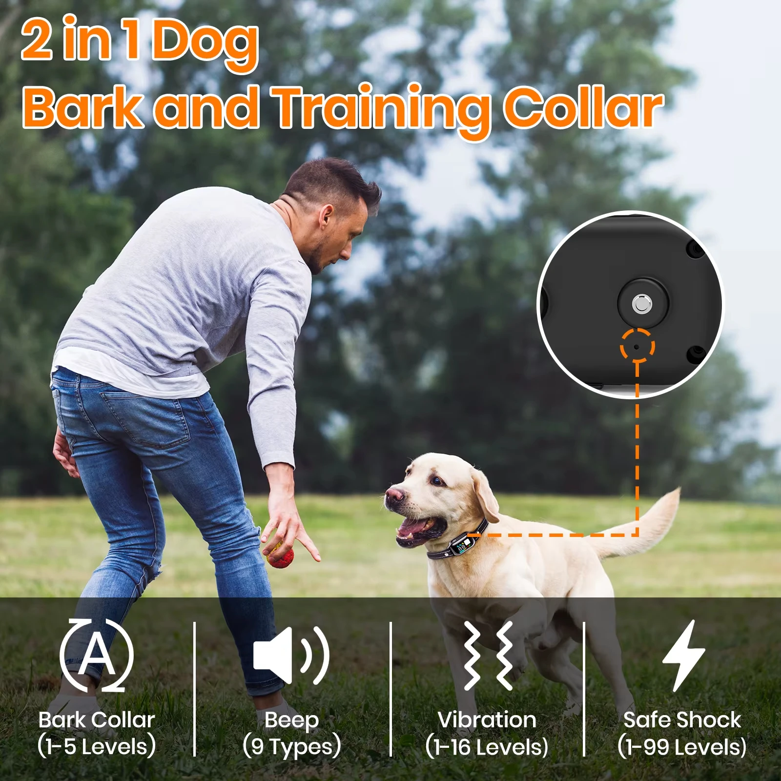 Thumbnail 3 - #28 Dog Collars Comparison Guide