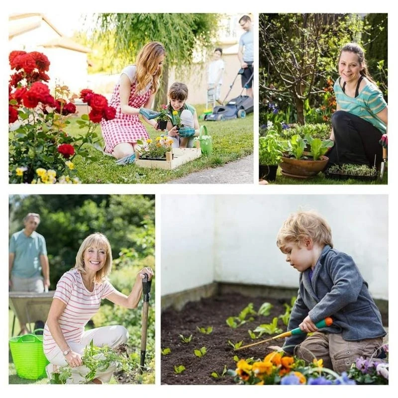 

Soil Test Strips 100pcs School Experiment Agriculture Working Soil Growing high quality