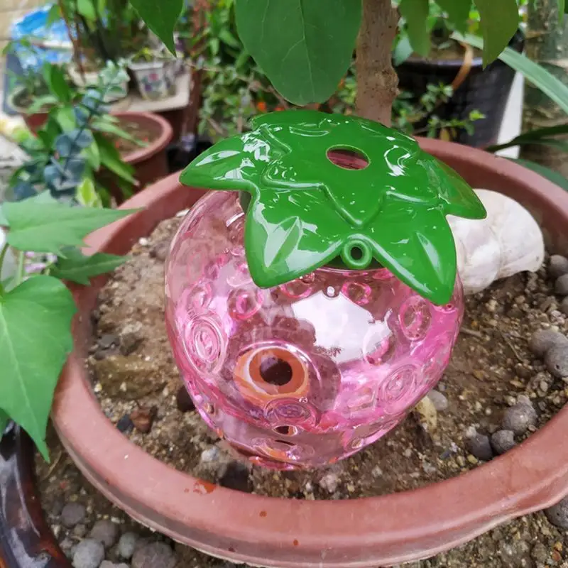 Automatic Water Bulbs Flower Feeder Balls Irrigation Device Transparent Unique Shaped Aqua Bulbs For Indoor Outdoor Plants Grow