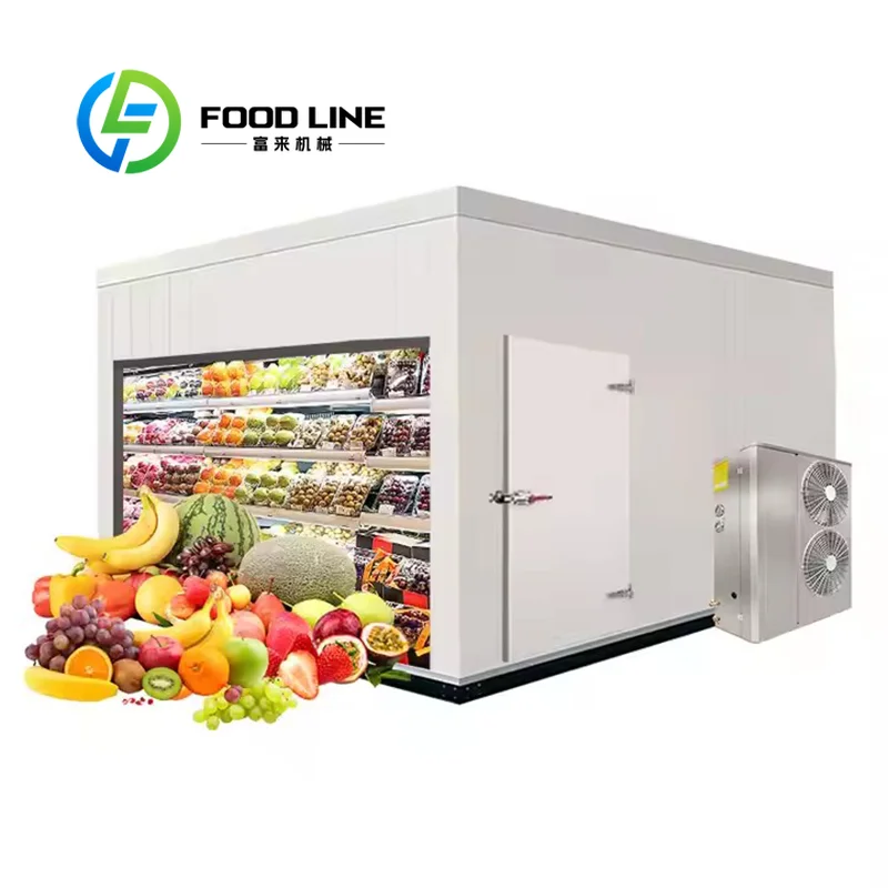 Fixed Walk In Cold Room With Insulated Floor Anti Slip Design For Safe Operation And Easy Cleaning In Cold Room