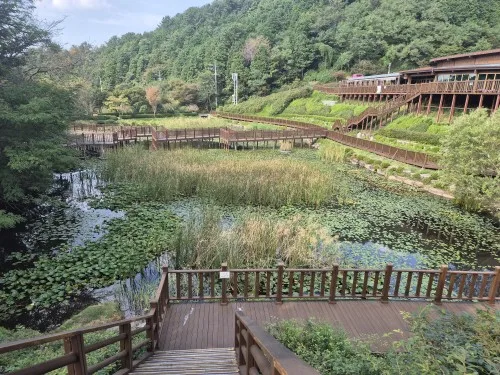 리뷰 사진