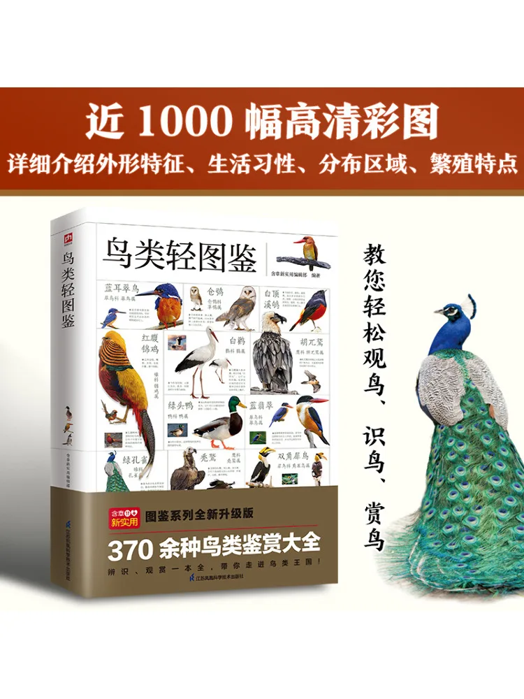 

Book-Winshare Bird Light Illustrated