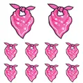 PE10614CT