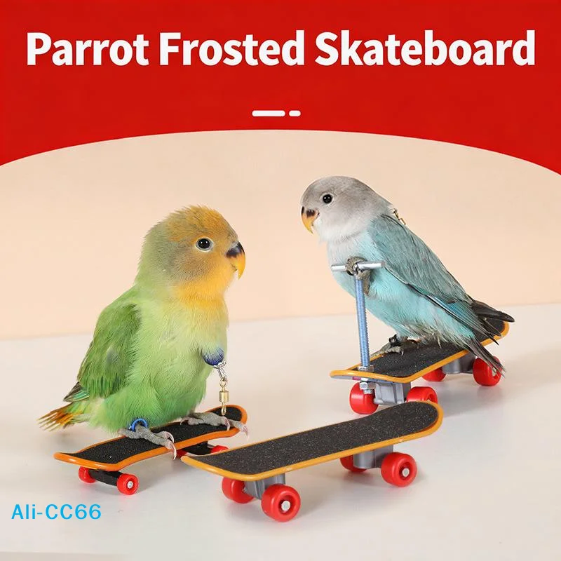 【C】Vogel-Papageien-Spielzeug-Skateboards aus Kunststoff für Reptilien – Unterhaltungs- und Trainingswerkzeug – Vogelzubehör-Skates