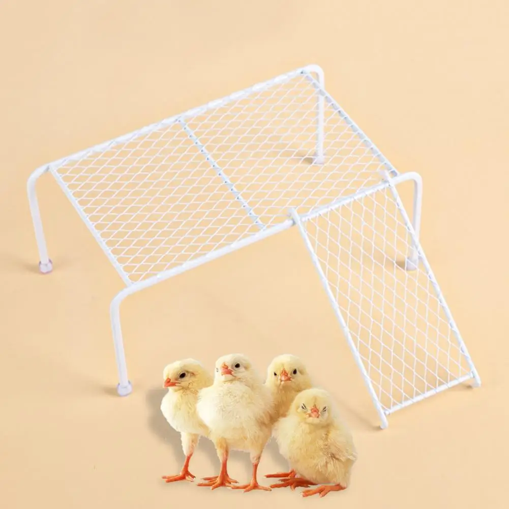 1 Set Cage Stand Platforms  Convenient Rutin Chicken Cage Stand Platforms with Climbing Ladder  Creative Grid Shelves