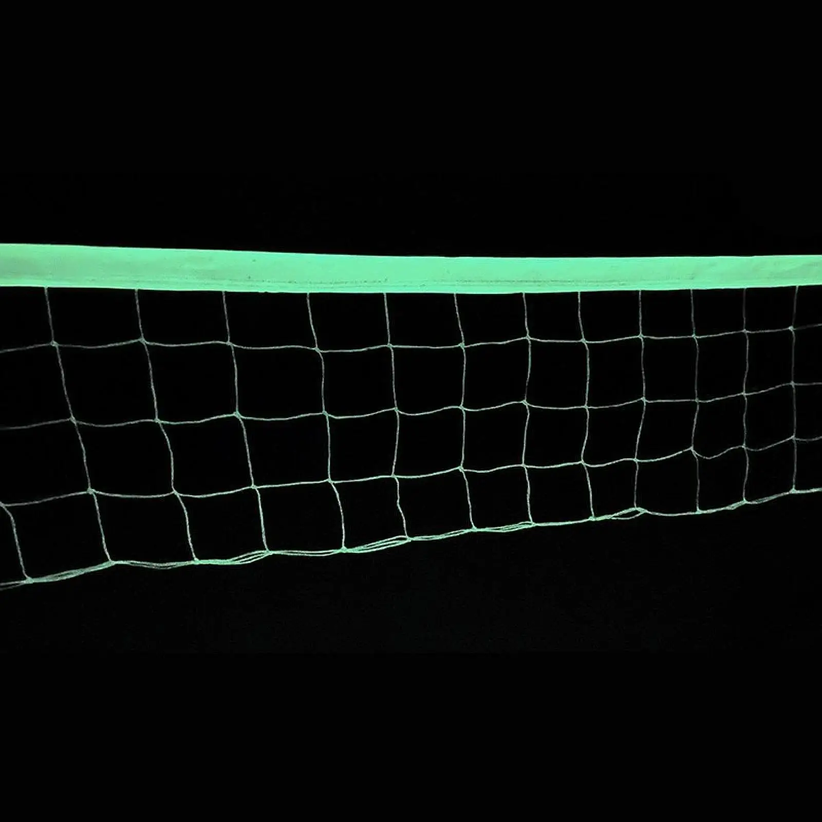 

Luminous Volleyball Net Volleyball Training Net Professional Glow in The Dark