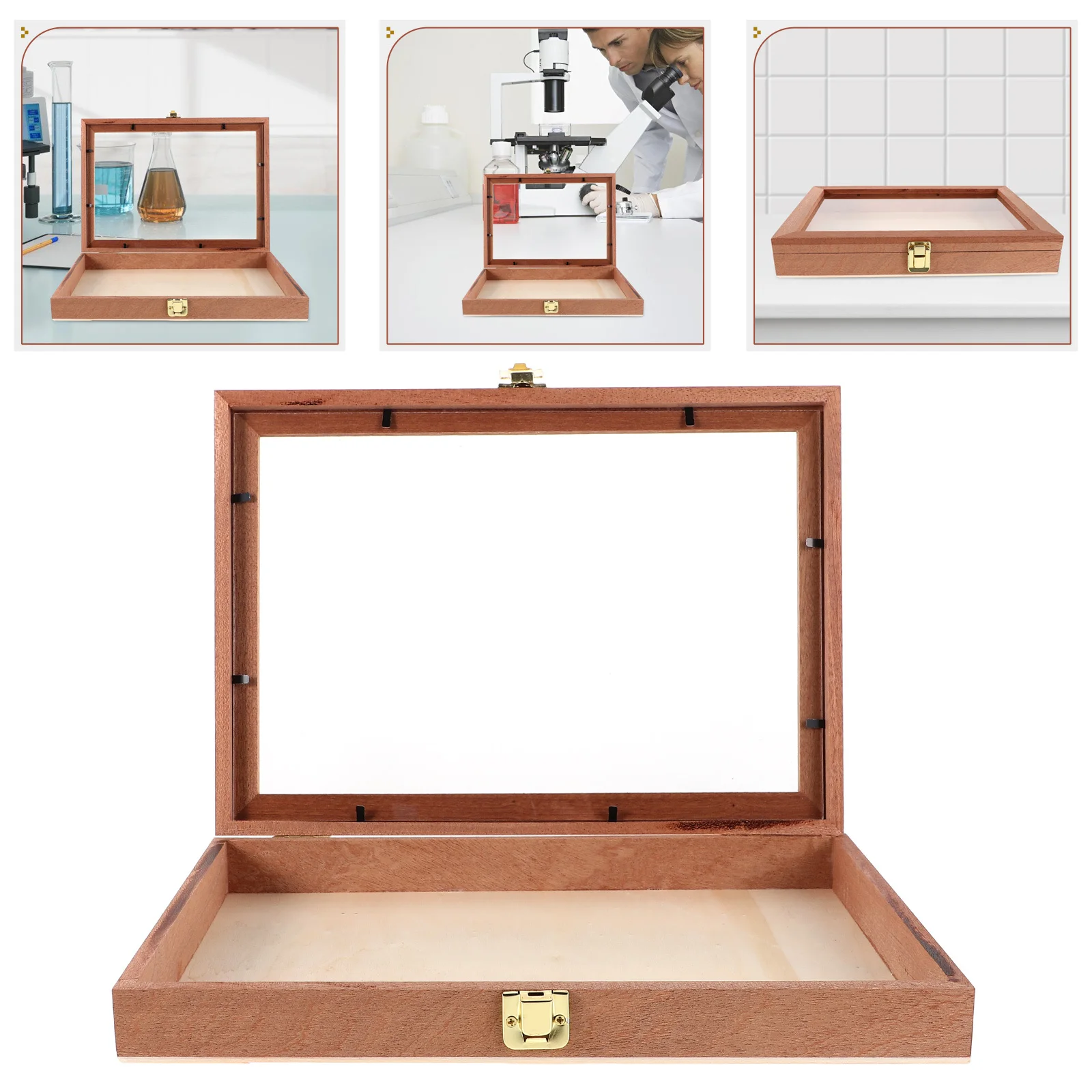 

Rectangular Wooden Storage Box with Clear Lid for Butterfly and Dried Flower Display Natural Finish Specimen Case for Home