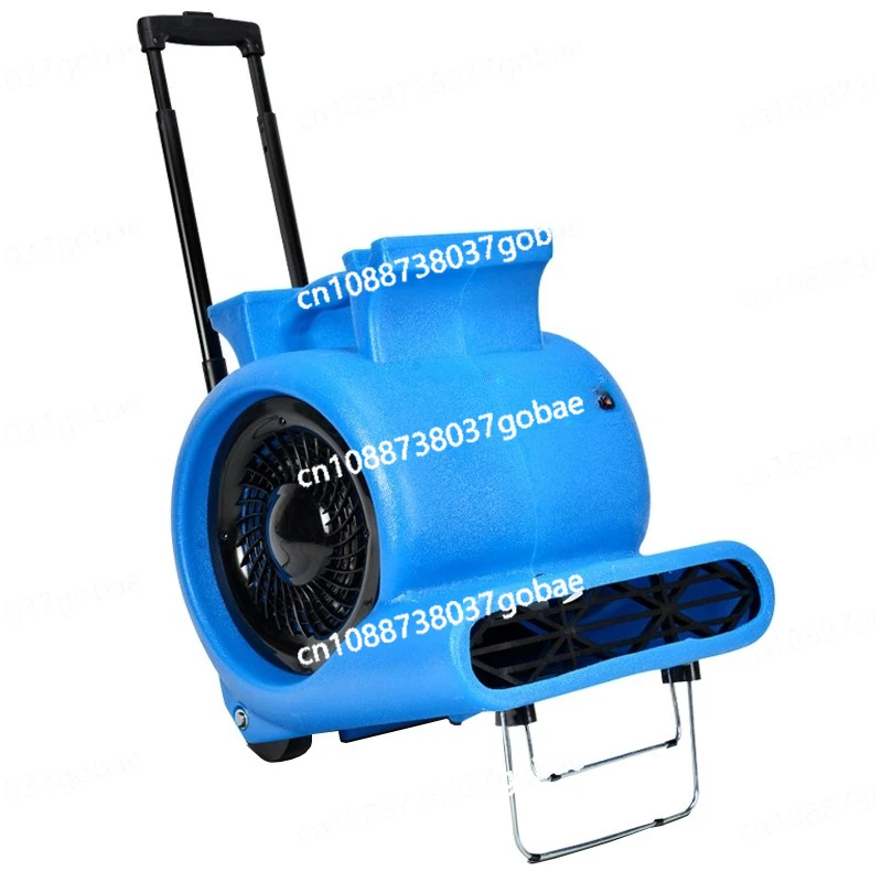 

BF535 Three-speed Blower Dryer, Floor, Floor, Carpet Hair Dryer