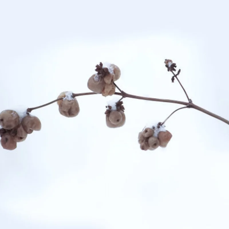 

1/10 RC Crawler: Колесные диски из алюминиевого сплава с ЧПУ, 2.2 дюйма, с бедлоком, для TRX4, D90, Axial SCX10, Wraith, Capra