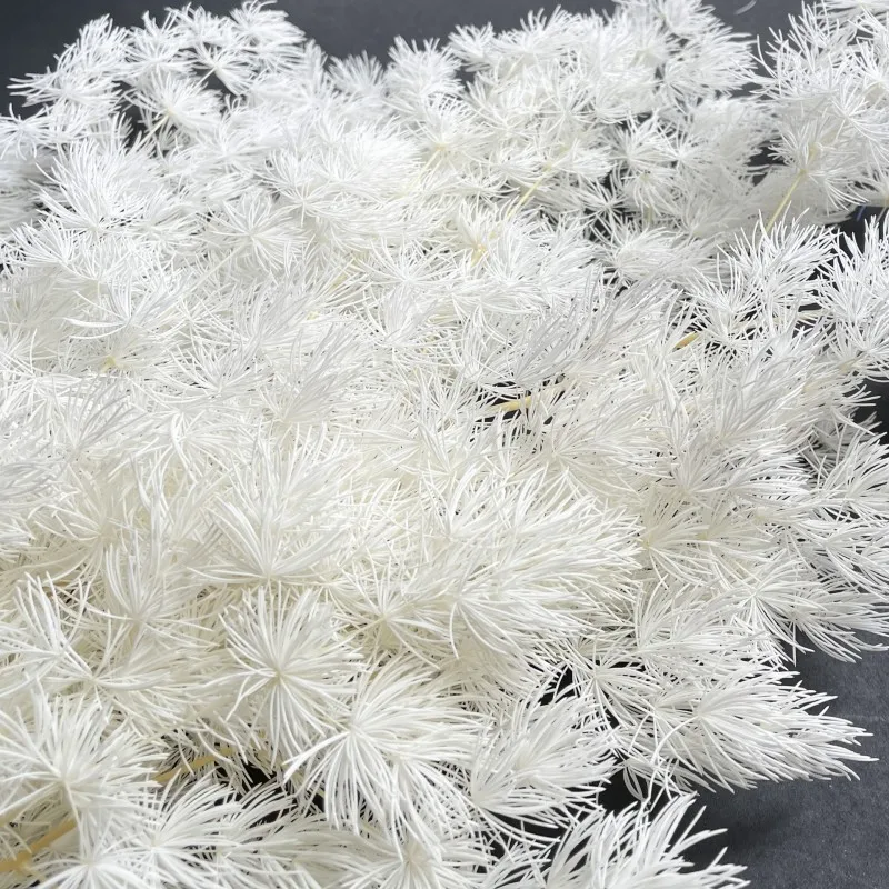 

85g A Bunch White And Black Pine Needles Dried Flowers Real Flower Leafy Branches Furnishing Living Room Decoration Free Shoppin