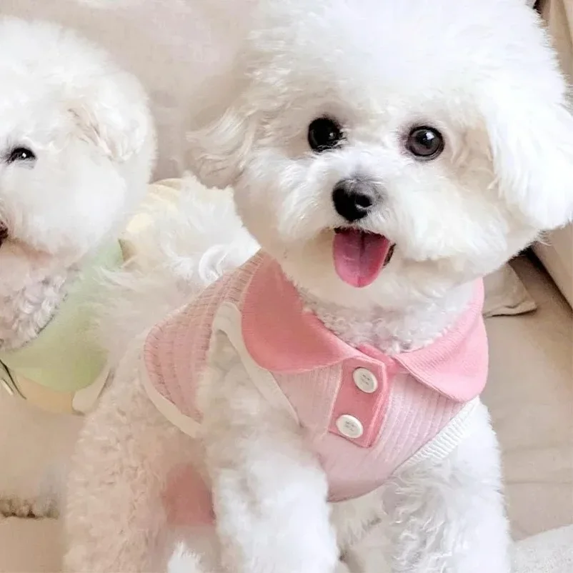 Ropa de Verano para Perros, Ca - Summer Dog Clothing reseña y precio