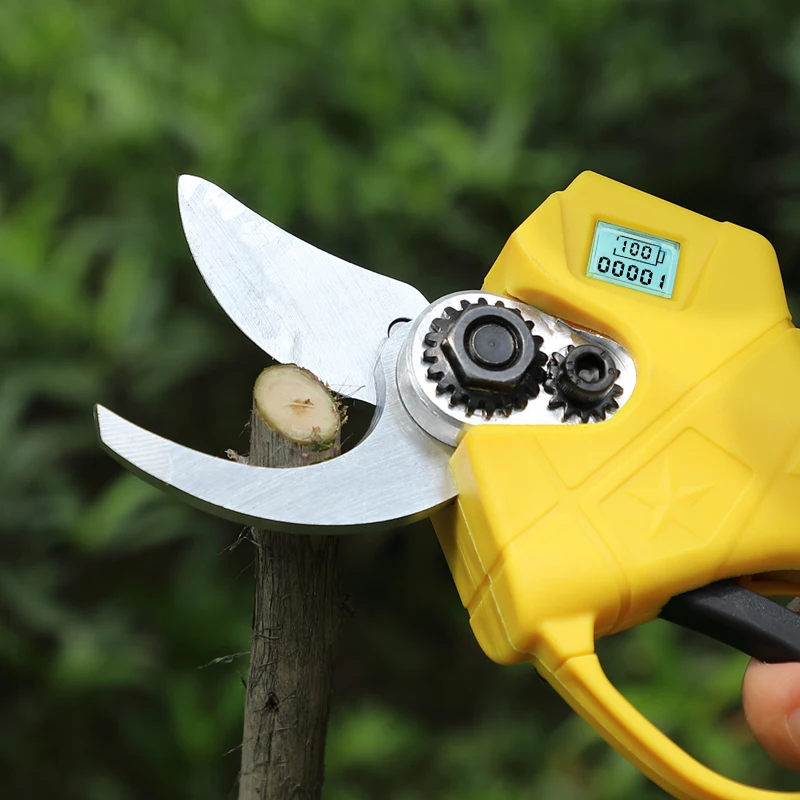 Imagem -05 - sem Fio Elétrica Pruner com Bateria Poda Cisalhamento Eficiente Árvore Frutíferas Bonsai Poda Cortador Ramo Paisagismo Ferramenta Elétrica 20v