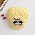 Stripe Raccoon