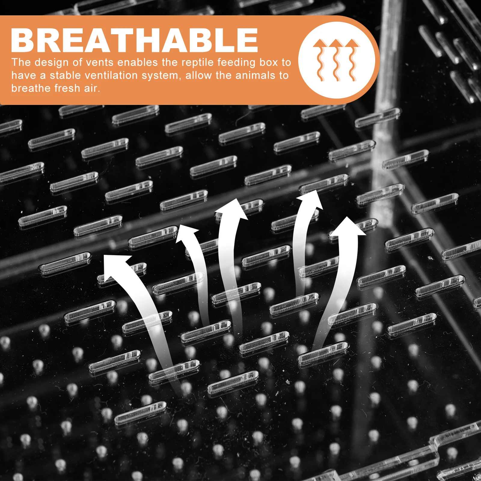 

Mealworms Feeding Container Clear Lid Insect Hatching Case for Spider Scorpion Gecko Reptile Breeding Box Stable Ventilation